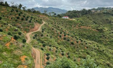 finca en venta en granada. Cod V12640