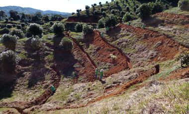 finca en venta en granada. Cod V12640