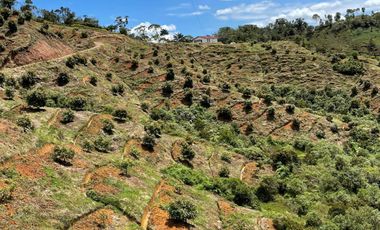 finca en venta en granada. Cod V12640