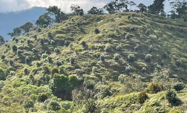 finca en venta en granada. Cod V12640