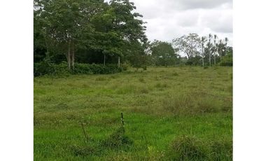 VENTA DE finca en monteria, cordoba