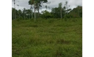 VENTA DE finca en monteria, cordoba
