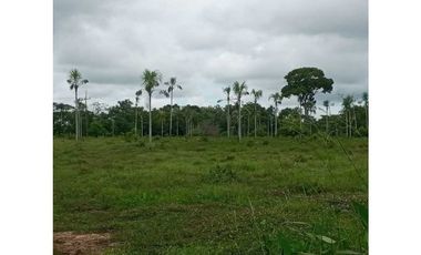 VENTA DE finca en monteria, cordoba