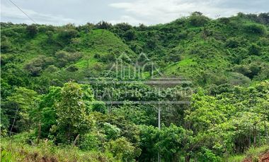 Se Vende Finca en Llano de Piedra, Macaracas, Los Santos 