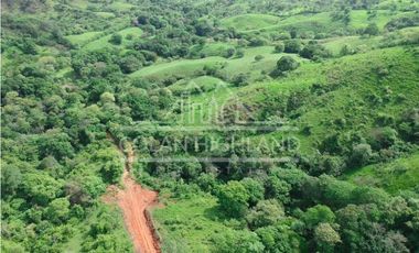 Se Vende Finca en Llano de Piedra, Macaracas, Los Santos 