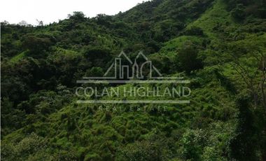 Se Vende Finca en Llano de Piedra, Macaracas, Los Santos 