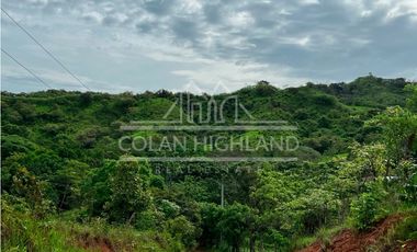 Se Vende Finca en Llano de Piedra, Macaracas, Los Santos 