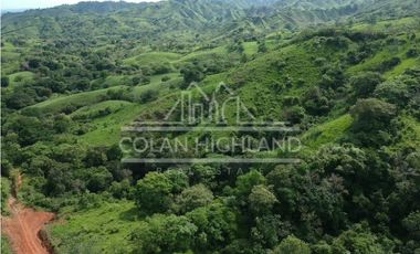 Se Vende Finca en Llano de Piedra, Macaracas, Los Santos 