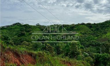 Se Vende Finca en Llano de Piedra, Macaracas, Los Santos 