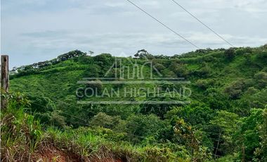 Se Vende Finca en Llano de Piedra, Macaracas, Los Santos 