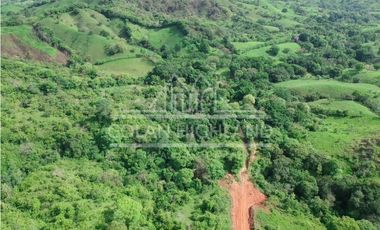 Se Vende Finca en Llano de Piedra, Macaracas, Los Santos 