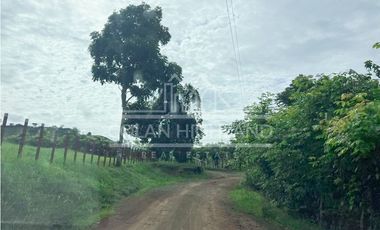 Se Vende Finca en Llano de Piedra, Macaracas, Los Santos 