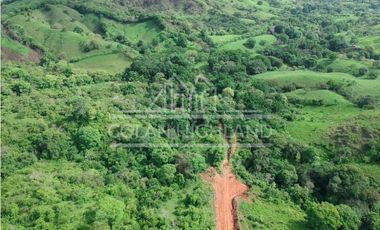 Se Vende Finca en Llano de Piedra, Macaracas, Los Santos 