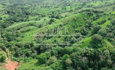 Se Vende Finca en Llano de Piedra, Macaracas, Los Santos 