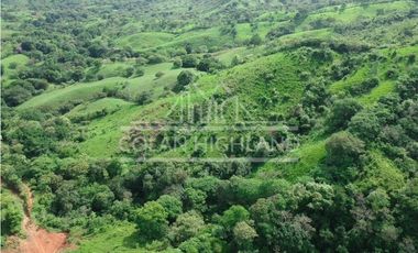 Se Vende Finca en Llano de Piedra, Macaracas, Los Santos 
