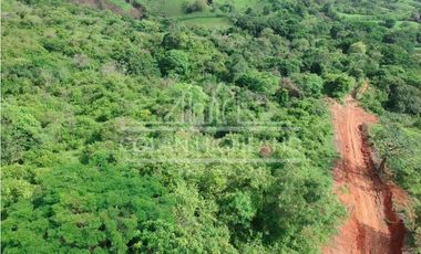 Se Vende Finca en Llano de Piedra, Macaracas, Los Santos 