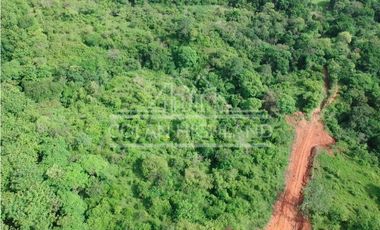 Se Vende Finca en Llano de Piedra, Macaracas, Los Santos 