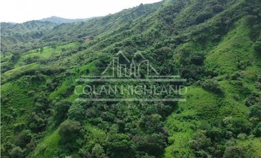 Se Vende Finca en Llano de Piedra, Macaracas, Los Santos 
