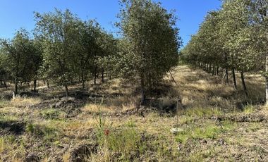 Sitio en Venta en Ruta k-530