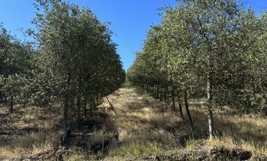 Sitio en Venta en Ruta k-530