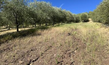 Sitio en Venta en Ruta k-530