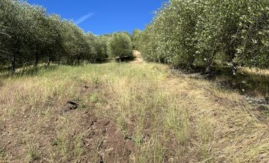 Sitio en Venta en Ruta k-530