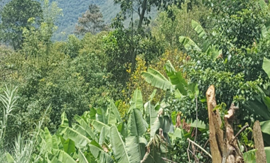 finca en venta en el higueron. Cod V400155