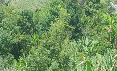 finca en venta en el higueron. Cod V400155