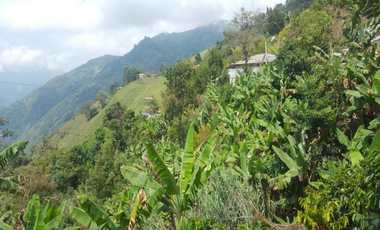 finca en venta en el higueron. Cod V400155