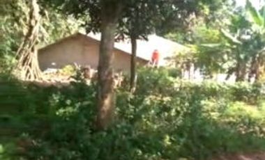 Tanah 2000 m Disewakan Pinggir Jalan Raya Parung Bogor