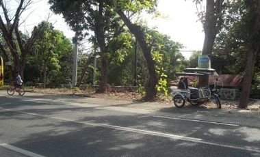 Highway Manila East Road 9135 SqM Lot Very Near Rizal Provincial Hospital (Tanay Annex)