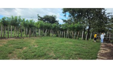 VENDO 47 HECTAREAS CON MANGAS ELECTRICA