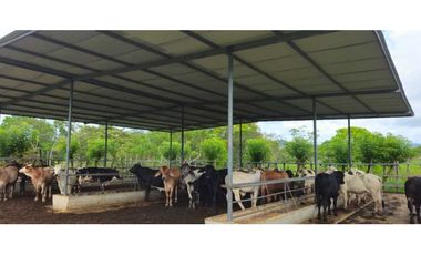 VENDO 47 HECTAREAS CON MANGAS ELECTRICA