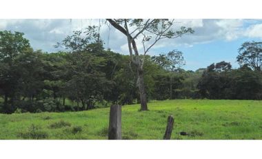 VENDO 47 HECTAREAS CON MANGAS ELECTRICA