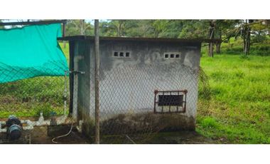 VENDO 47 HECTAREAS CON MANGAS ELECTRICA
