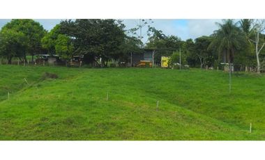VENDO 47 HECTAREAS CON MANGAS ELECTRICA