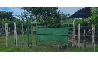 VENDO 47 HECTAREAS CON MANGAS ELECTRICA