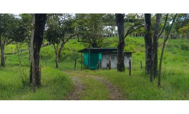 VENDO 47 HECTAREAS CON MANGAS ELECTRICA