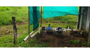 VENDO 47 HECTAREAS CON MANGAS ELECTRICA