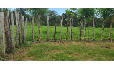 VENDO 47 HECTAREAS CON MANGAS ELECTRICA