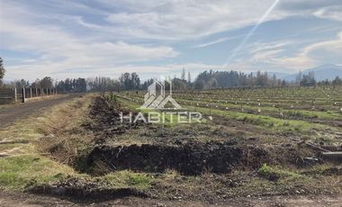 Parcela en Venta en Rincón de Morales, Teno