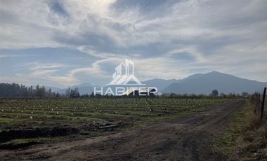 Parcela en Venta en Rincón de Morales, Teno