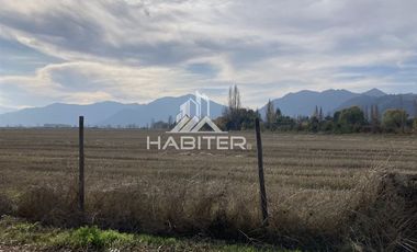 Parcela en Venta en Rincón de Morales, Teno