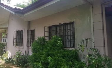 HOUSE AND LOT FOR SALE IN DUMAGUETE CITY