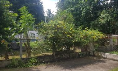 HOUSE AND LOT FOR SALE IN DUMAGUETE CITY