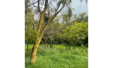 Vendo lote en la calera mas de 5000 mts