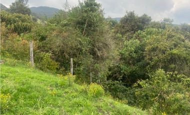 Vendo lote en la calera mas de 5000 mts