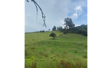 Vendo lote en la calera mas de 5000 mts