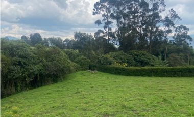 Vendo lote en la calera mas de 5000 mts