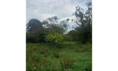 Vendo lote en la calera mas de 5000 mts